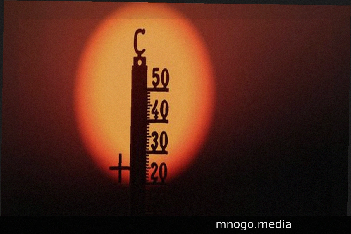 Heatwave in Europe: 300 Million People Exposed to Harmful Ozone Levels