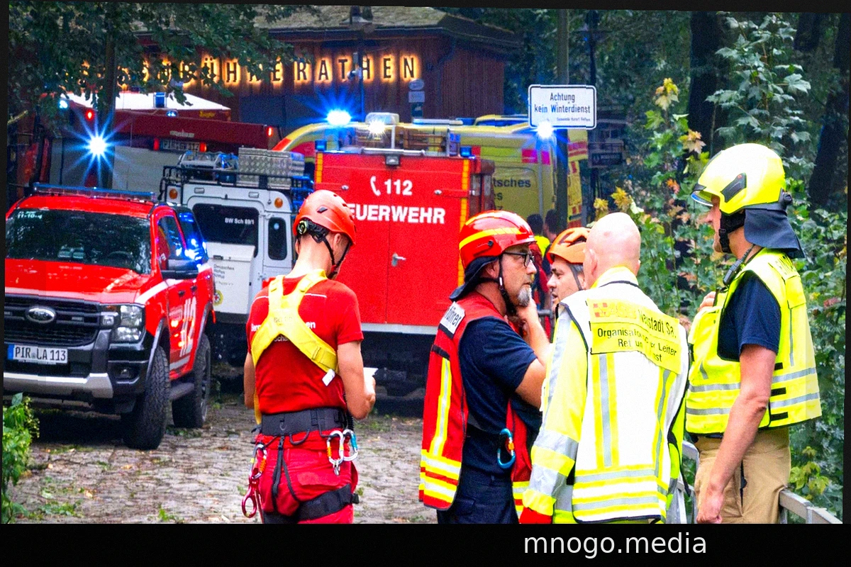 Man Dies in Saxony After Tree Falls During Heatwave
