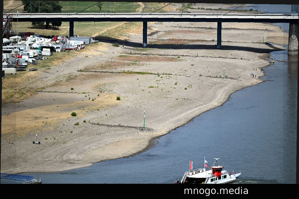 Niedrigwasser im Rhein: Strategien für mehr Tiefgang