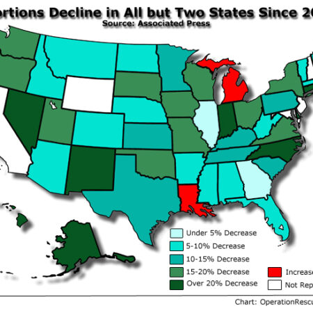 Vologda Region Reports Sharp Decline in Abortions