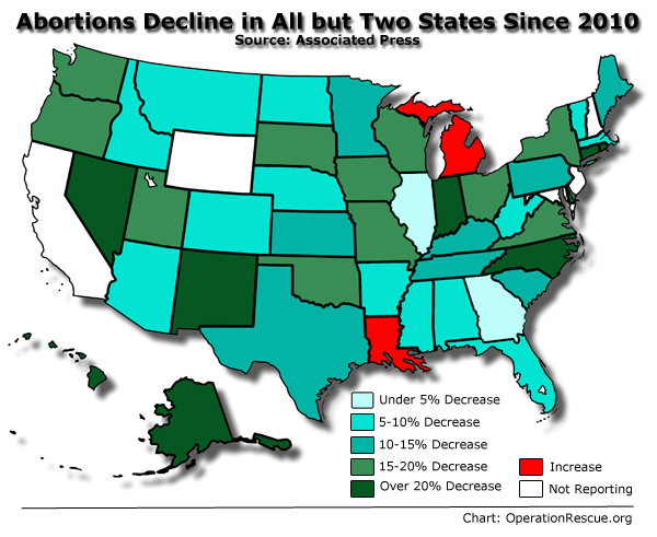 Preview Vologda Region Reports Sharp Decline in Abortions