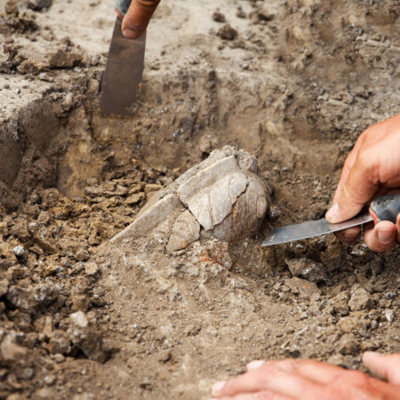 Archaeologists to Present Results of Chersonesus Taurica Excavations