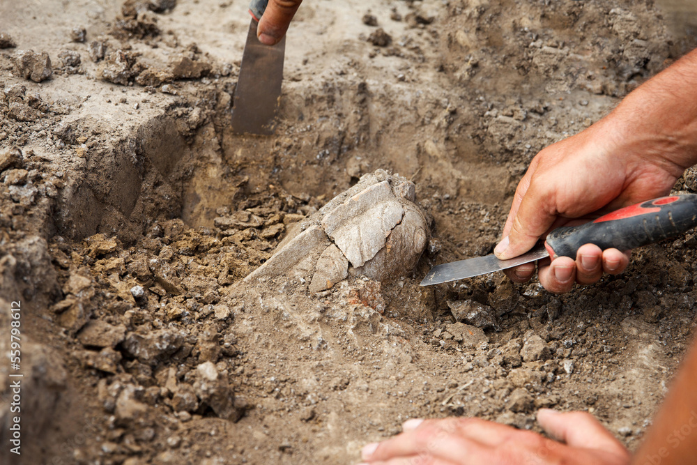 Preview Archaeologists to Present Results of Chersonesus Taurica Excavations