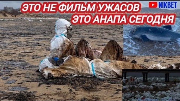 Preview Anapa Oil Spill: Self-Cleaning Unlikely, Says Watchdog