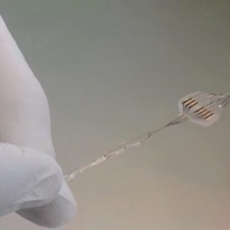 Russian Biotech Firm Sends Rats with Neural Implants to Stratosphere