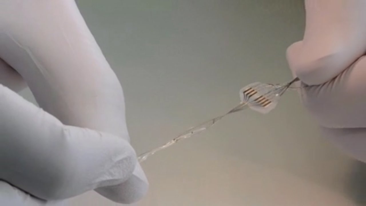 Preview Russian Biotech Firm Sends Rats with Neural Implants to Stratosphere