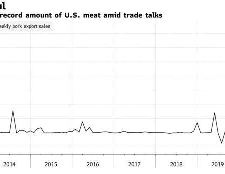 Pork Prices Soar: Live Pig Kilogram Jumps 15%
