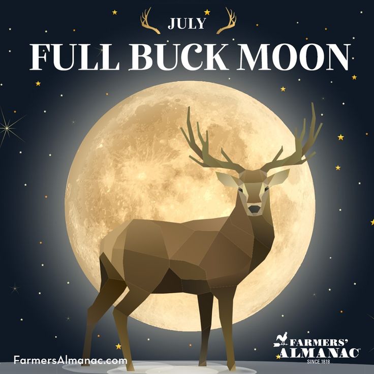 Preview Full Moon in July 2025: Date, Time, and the Deer Moon