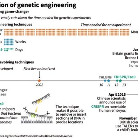 Siberian Scientists Create Barley with Valuable Mutations Using New Gene Editing Method