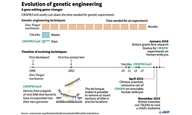 Preview Siberian Scientists Create Barley with Valuable Mutations Using New Gene Editing Method
