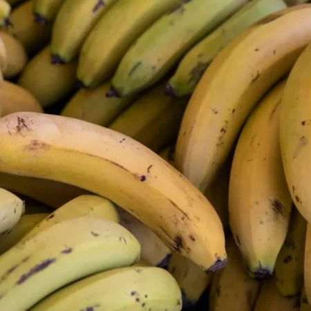 Bananas Added to Russia’s Agricultural Production List