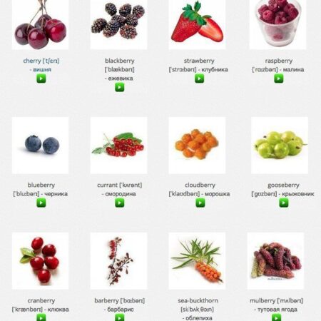 Unprofitable Berries: Berry Prices Sharply Increased in Russia in June