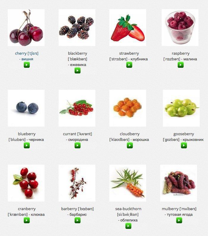 Preview Unprofitable Berries: Berry Prices Sharply Increased in Russia in June