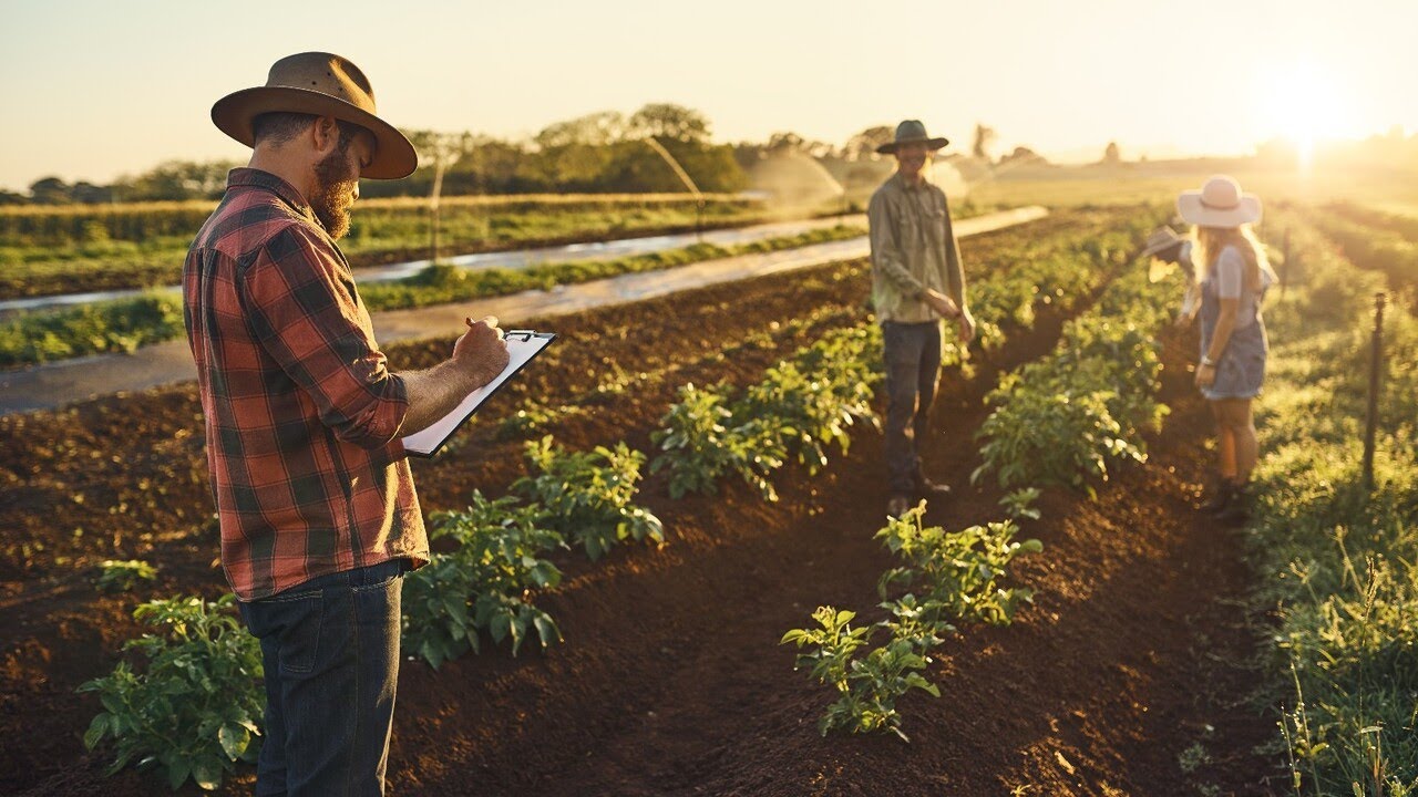 Preview Agricultural Enterprises Grapple with Severe Seasonal Worker Shortage