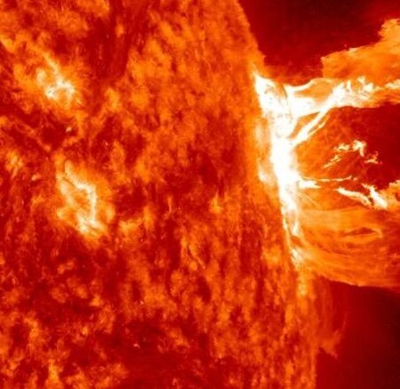 Video Shows Sharp Rise in Solar Flare Activity