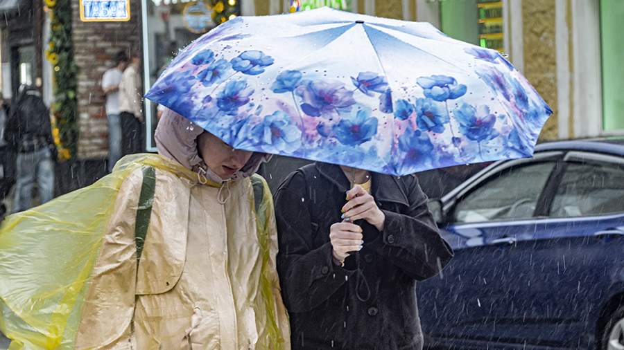 Preview Short Rain with Thunderstorms and Temperatures Up to 27°C Expected in Moscow