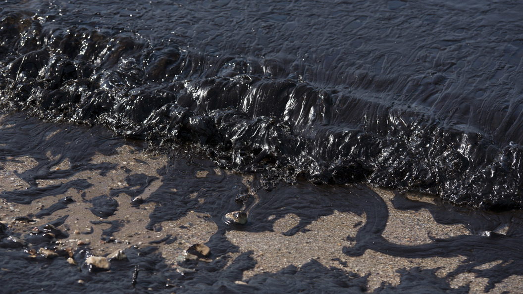 Preview Black Sea Ecosystem Resilient After Fuel Oil Spill, Russian Scientists Confirm