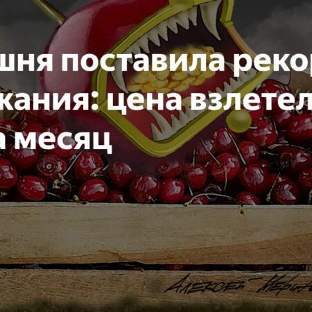 Рекордный скачок цен на черешню: стоимость выросла на 38% за месяц