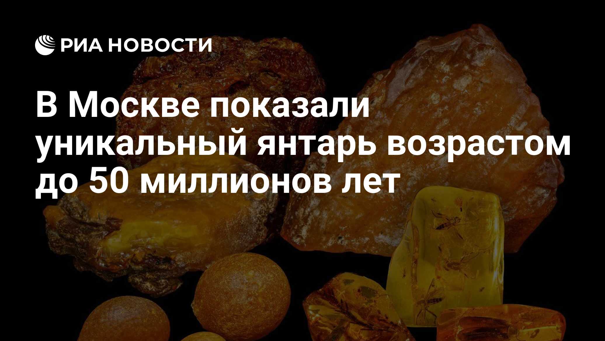 Preview В Москве показали уникальный янтарь возрастом до 50 миллионов лет
