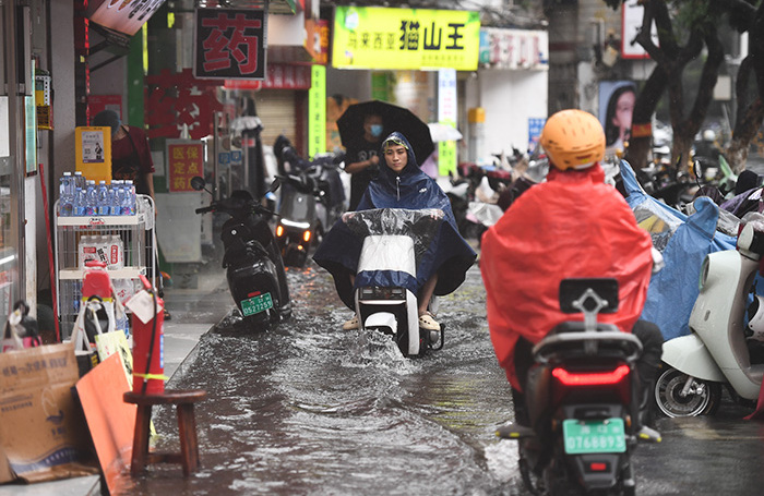 Preview Typhoon of Level 8 Danger Strikes Hong Kong and Thailand