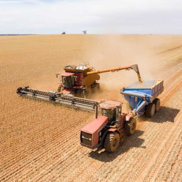 Preview Southern Russia’s Grain Harvest at Risk Due to Extreme Weather