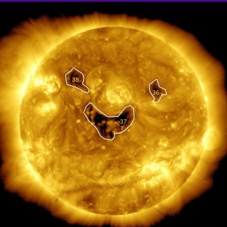 Polar Coronal Holes Reappear on the Sun After Several Years