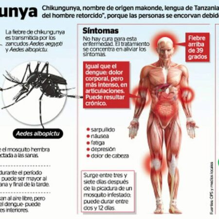 Can Russians Contract Chikungunya Fever?