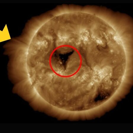 На Солнце растет гигантская корональная дыра: влияние на Землю