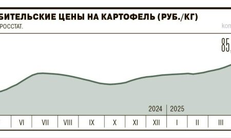 Будущее цен на картофель: прогноз эксперта