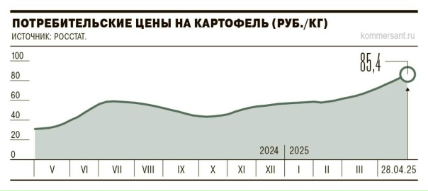 Preview Будущее цен на картофель: прогноз эксперта