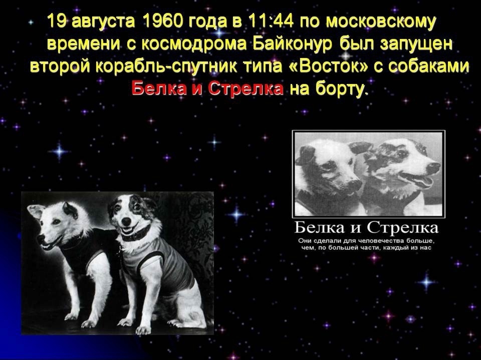 Preview Полет космического корабля с собаками Белкой и Стрелкой на борту