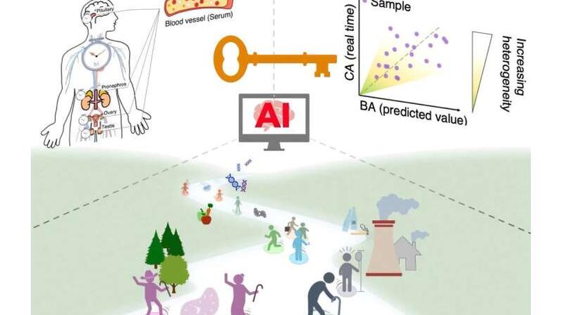 Preview AI-Powered System Developed to Accurately Determine Biological Age
