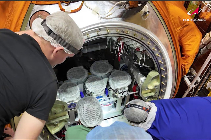 Preview Russia Launches Bion-M No. 2 Biosatellite with Mice and Flies into Orbit