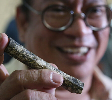 Previously Unknown Human Branch Discovered Near Bogotá in Colombia