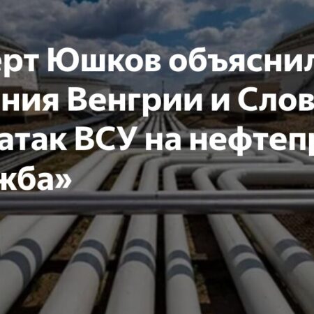 Expert Yushkov: «The Gasoline Shortage Situation is Nearing a Dangerous Threshold»