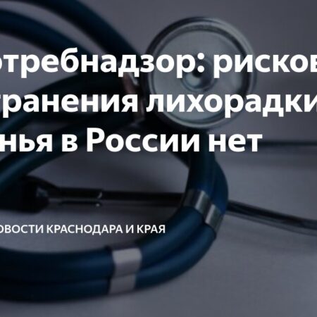 Роспотребнадзор: Отсутствие Угрозы Распространения Лихорадки Чикунгунья в России