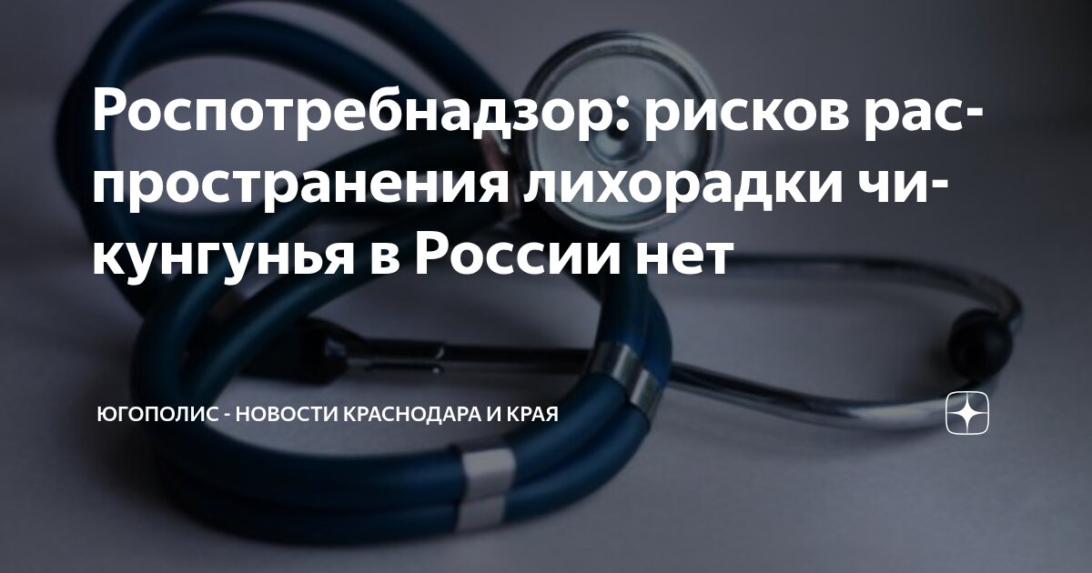 Preview Роспотребнадзор: Отсутствие Угрозы Распространения Лихорадки Чикунгунья в России