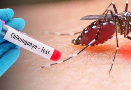 First Chikungunya Fever Case Reported in Moscow from Sri Lanka