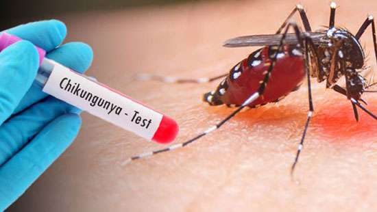 Preview First Chikungunya Fever Case Reported in Moscow from Sri Lanka