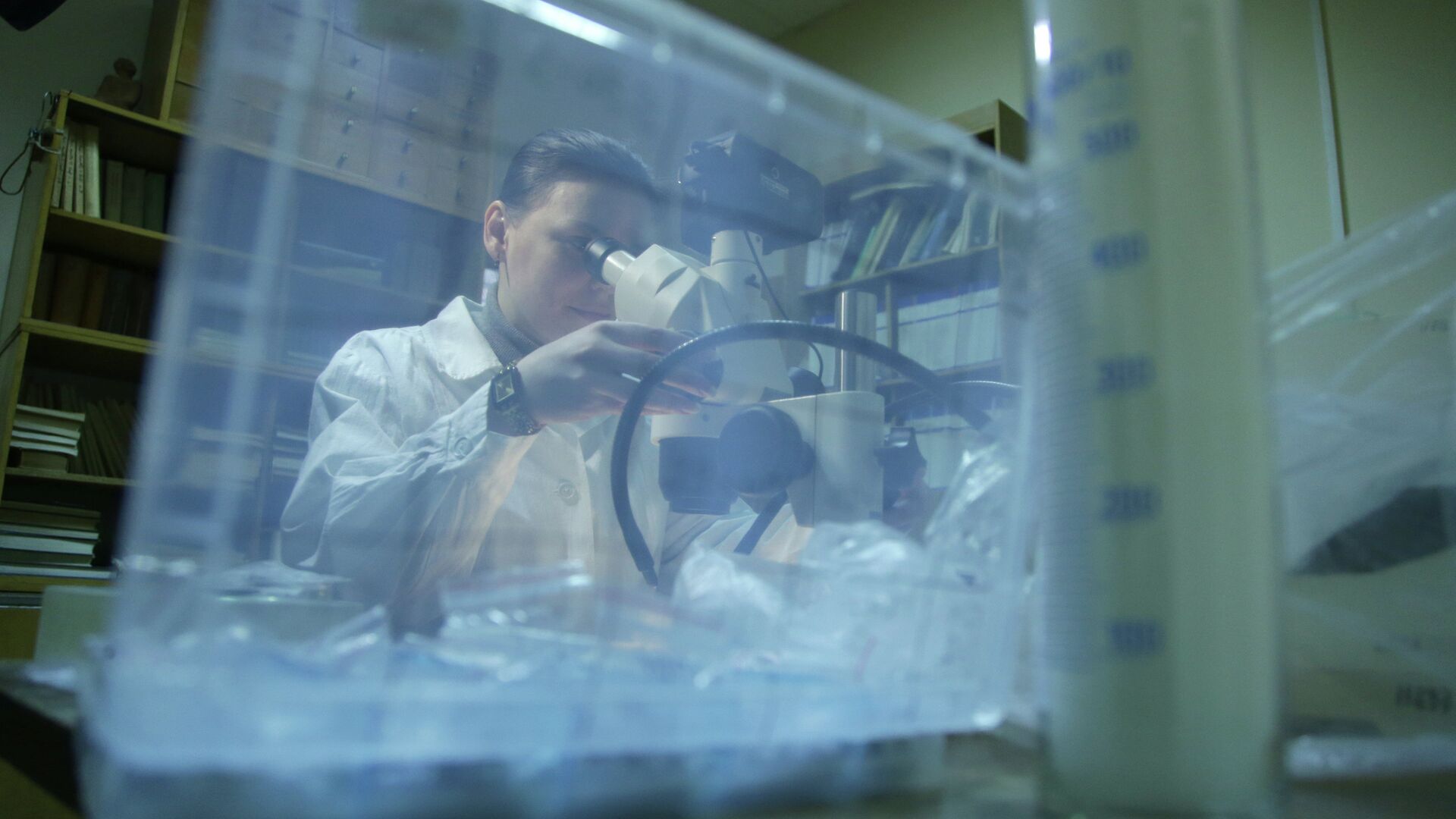 Preview Scientists Unravel Arctic Mineral Transformation Mechanism