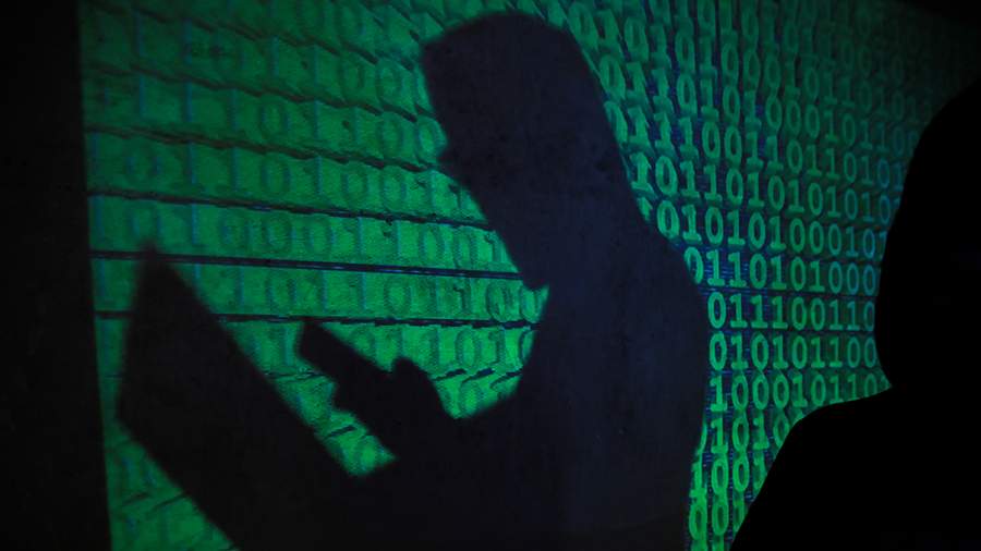 Preview Russians Warned of New Fraud Scheme Involving Popular Mir Pay Application
