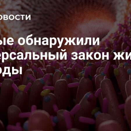 Ученые обнаружили универсальный закон организации живой природы