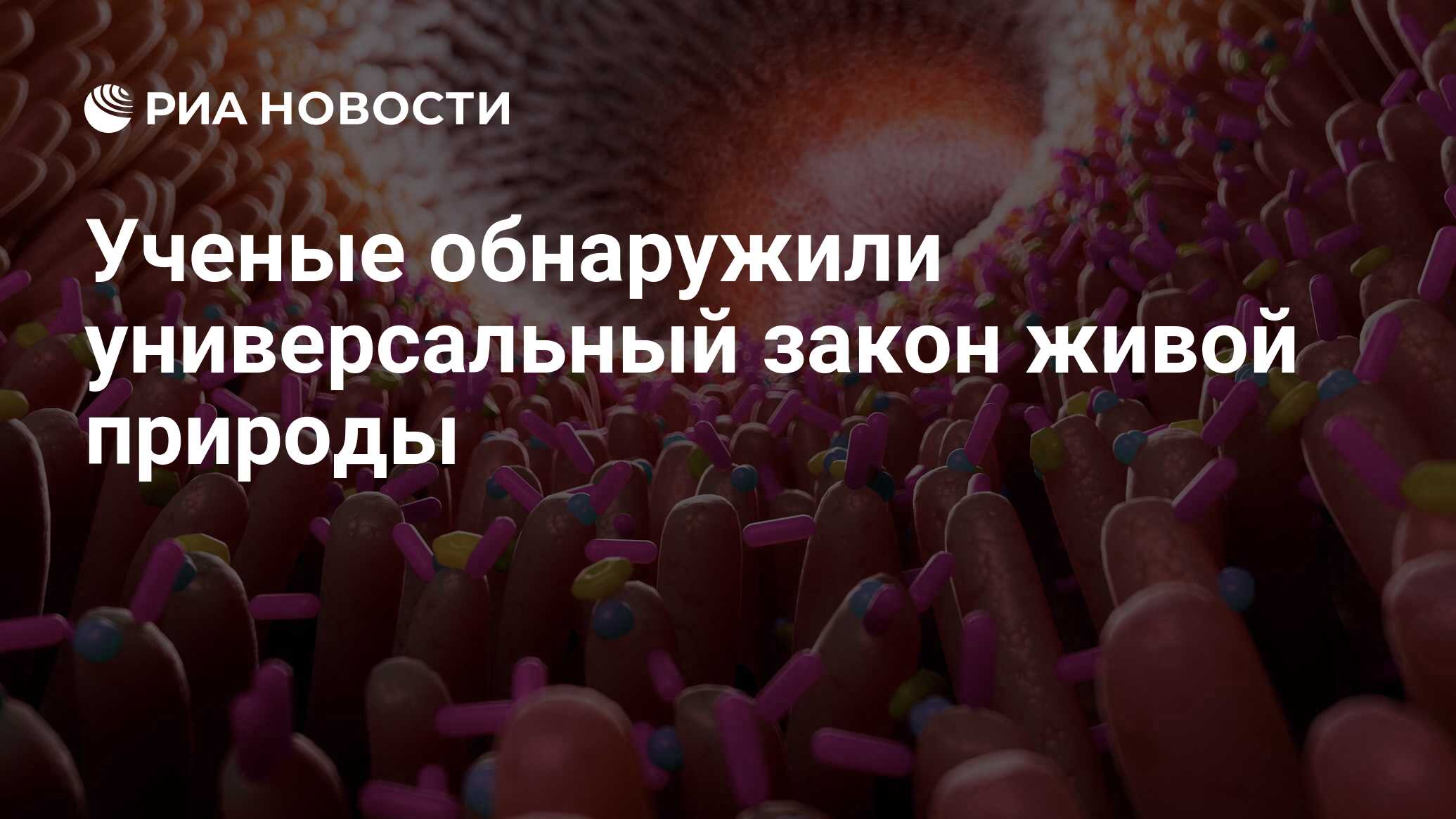 Preview Ученые обнаружили универсальный закон организации живой природы