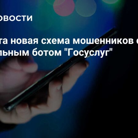 Мошенники придумали новую схему с фейковым ботом «Госуслуг»