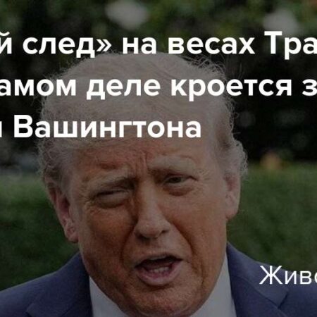 Трамп и российская нефть: амбициозный план для Европы
