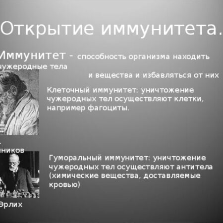 Иммунные Клетки – Ключ к Повышению Успешности ЭКО: Открытие Сибирских Ученых