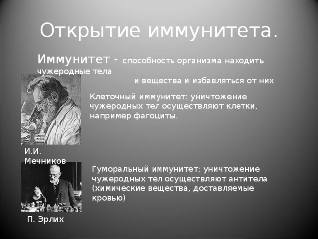 Preview Иммунные Клетки – Ключ к Повышению Успешности ЭКО: Открытие Сибирских Ученых