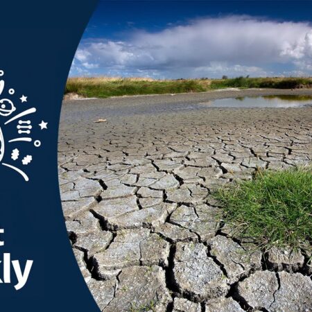 Tyumen Scientists Achieve Breakthrough in Drought Crop Protection