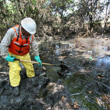 Surgut Scientists Discover Innovative Method to «Wash» Soil from Diesel Spills