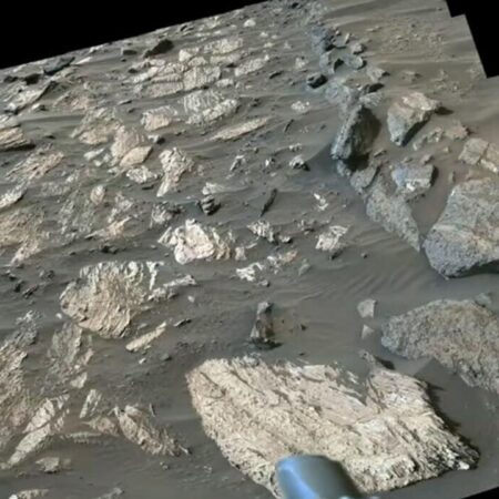 NASA Scientists Believe Ancient Life Signs Found on Mars